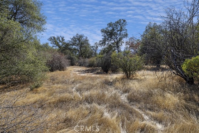 Detail Gallery Image 15 of 16 For 0 39.29 Ac Village Dr, Oakhurst,  CA 93644 - – Beds | – Baths