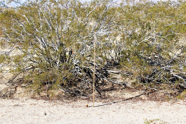 Detail Gallery Image 14 of 14 For 61308104 Dorth Pl, Twentynine Palms,  CA 92277 - – Beds | – Baths