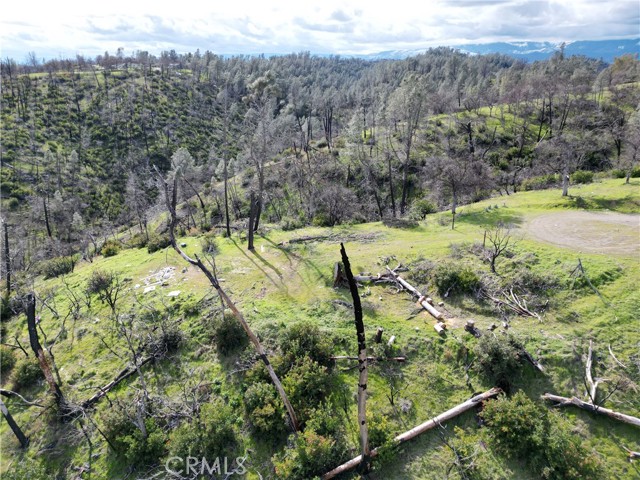 Detail Gallery Image 9 of 25 For 7074 Sugar Pine Ct, Corning,  CA 96021 - – Beds | – Baths