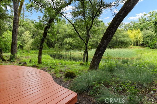5338 Deception River Road, Chico CA: https://media.crmls.org/medias/38456218-6ee1-44cc-9215-aca17b4c769f.jpg