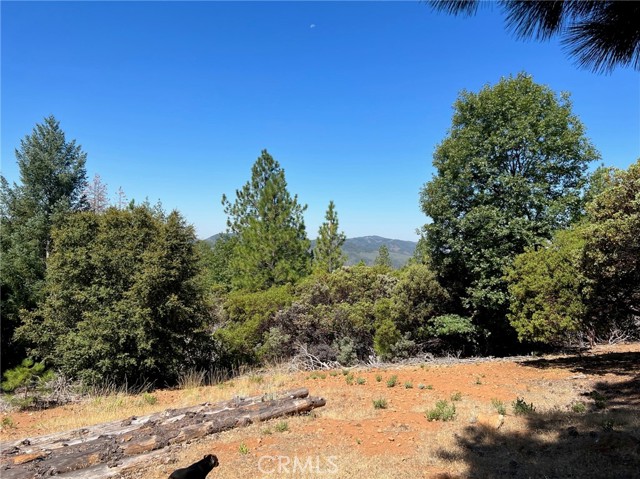 9003 Fox, Cobb, CA, 95426 9003 Fox, Cobb, CA, 95426