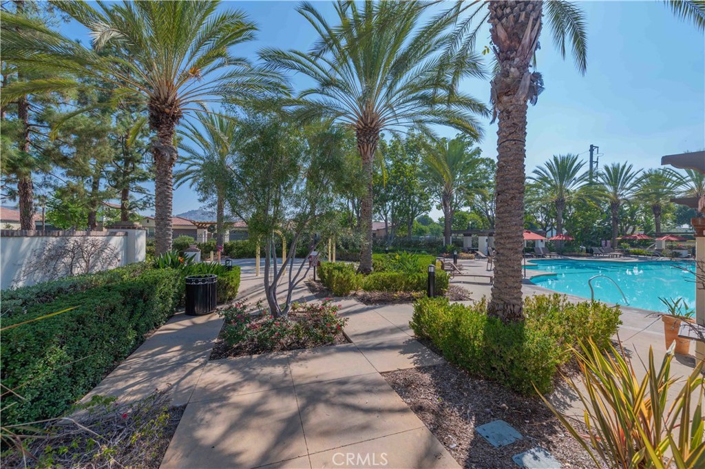 3853B672 414D 4472 81Ce 5B1F8721A4F6 3515 Gardenia Lane, Brea, Ca 92823 &Lt;Span Style='BackgroundColor:transparent;Padding:0Px;'&Gt; &Lt;Small&Gt; &Lt;I&Gt; &Lt;/I&Gt; &Lt;/Small&Gt;&Lt;/Span&Gt;