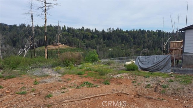 Front Image Thumbnail for CRSN25252412