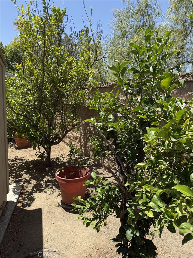 https://media.crmls.org/medias/385d1d81-68e3-41a7-8186-ea8491aa3571.jpg?preset=X-Large