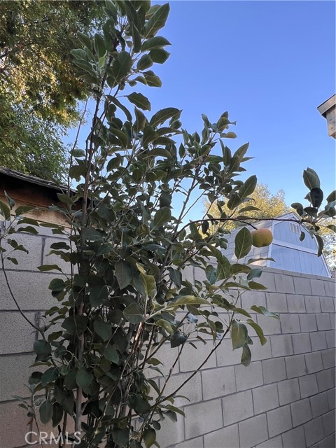 7327 N Loma Verde Avenue, Canoga Park CA: https://media.crmls.org/medias/38648ea9-eeba-4509-a853-eadd5c06de0a.jpg