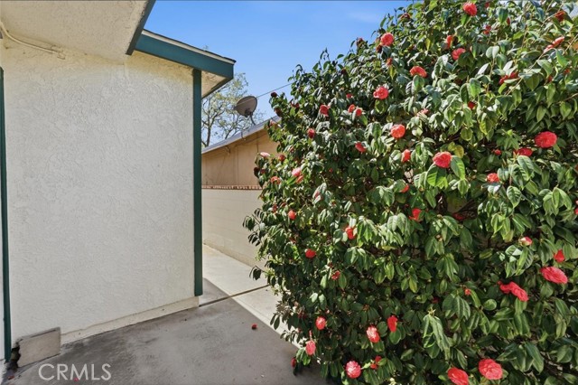 Detail Gallery Image 20 of 46 For 2106 Dufour Ave #1,  Redondo Beach,  CA 90278 - 3 Beds | 2/1 Baths