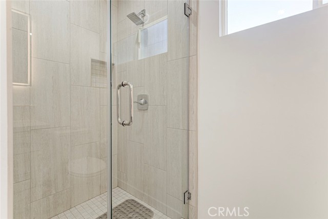 6206 Camellia photo 64