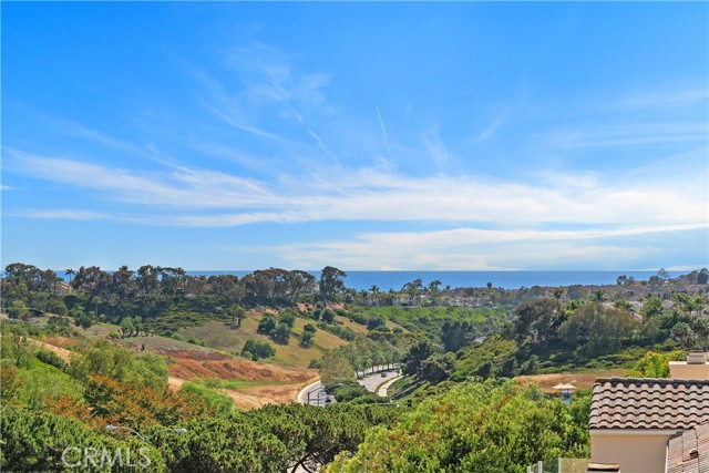 123 Costa Brava, Laguna Niguel CA: https://media.crmls.org/medias/386e1598-1736-4360-a484-da7dd45cf301.jpg