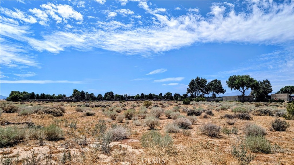 MLS #HD26190835 image #8