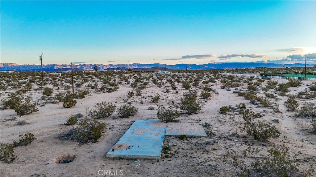 MLS #JT25092315 image #6