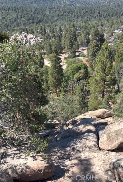 Front Image Thumbnail for CRNP26074104