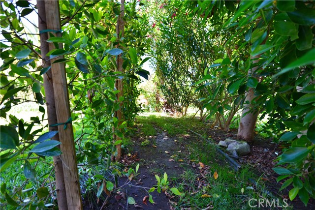 Detail Gallery Image 25 of 29 For 45525 Highway 79 Lot 1, Aguanga,  CA 92536 - – Beds | – Baths