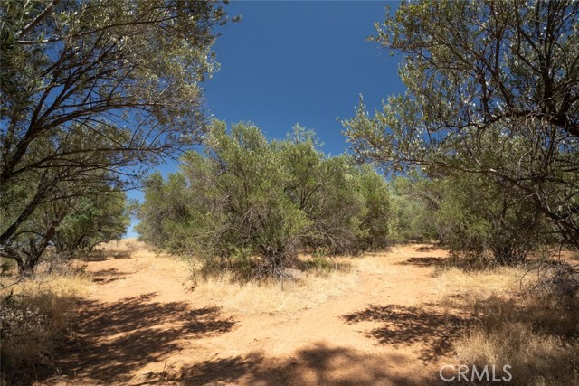 56 Canal Drive, Oroville, California 95966, ,Land,For Sale,56 Canal Drive,CROR23137441