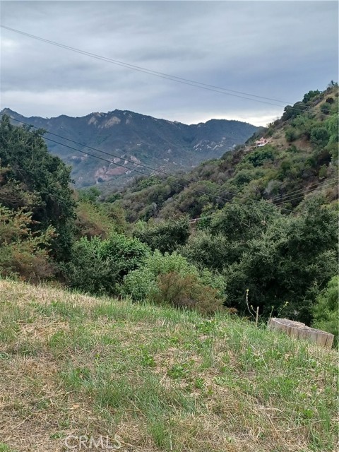 Detail Gallery Image 3 of 5 For 2253 Topanga Skyline Dr, Topanga,  CA 90290 - – Beds | – Baths