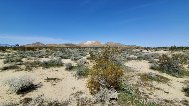 0 Vicinity 25th St W s/o Gibbs, Mojave, California 93501, ,Land,For Sale,0 Vicinity 25th St W s/o Gibbs,CRSR24049521