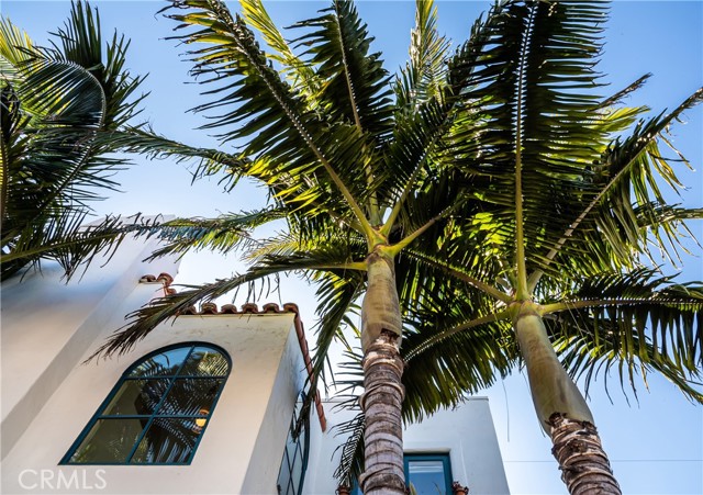 Lush palm trees accent the front space