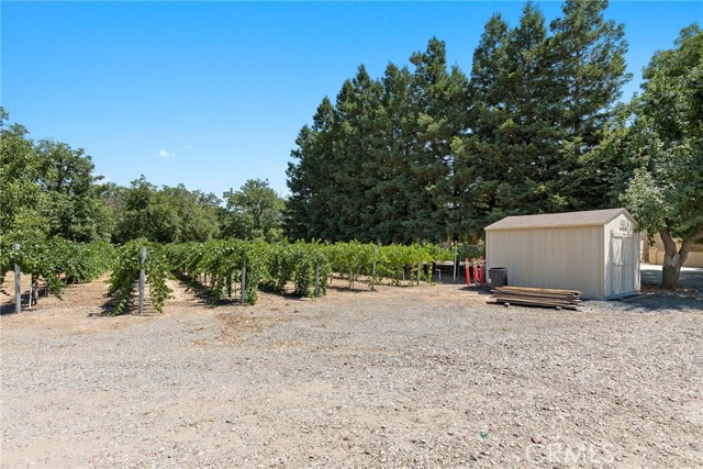 3230 Konning Avenue, Chico, California 95928, ,Commercial Sale,For Sale,3230 Konning Avenue,CRSN23148163