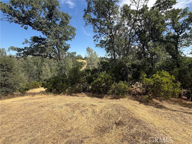 Detail Gallery Image 2 of 6 For 16318 Longhorn Ln, Corning,  CA 96021 - – Beds | – Baths