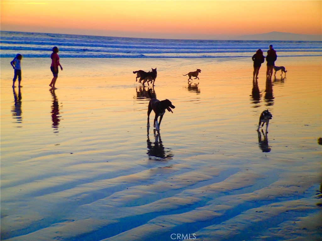MLS #OC25122367 img 4