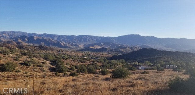 0 Rolandee Street, Acton CA: https://media.crmls.org/medias/389f204d-c451-4b89-a623-fc4ebdb5bed5.jpg