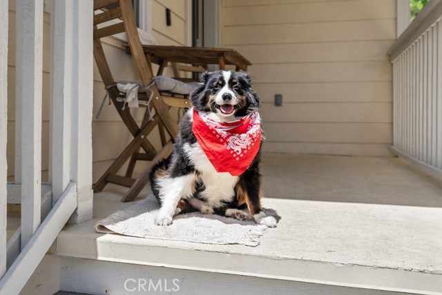 Marley welcomes you to your new home!