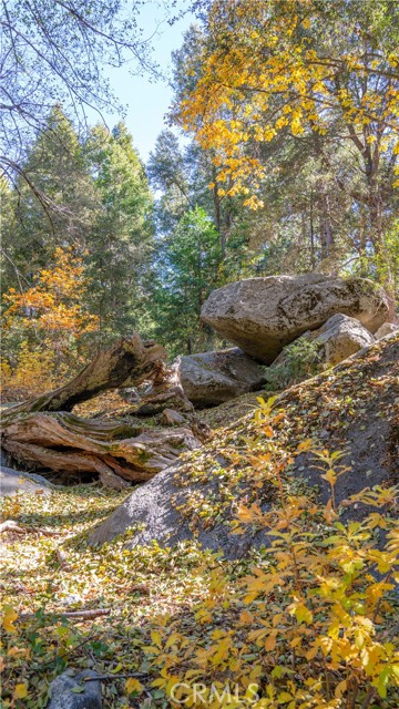 Detail Gallery Image 35 of 48 For 25201 Fern Valley Rd, Idyllwild,  CA 92549 - 1 Beds | 1 Baths