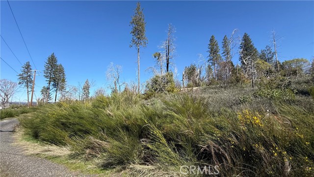 Front Image Thumbnail for CROR26048171