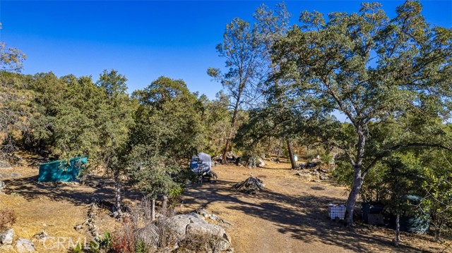 Detail Gallery Image 11 of 28 For 4200 Silver Lane Rd, Mariposa,  CA 95338 - – Beds | – Baths