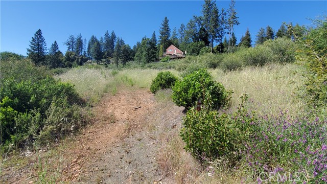 Front Image Thumbnail for CRLC26106525