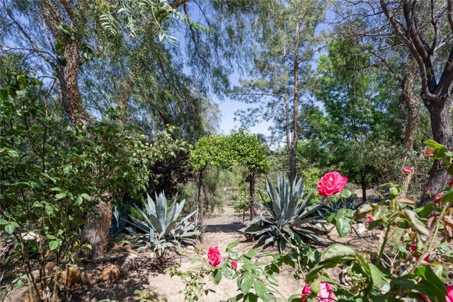 Detail Gallery Image 3 of 73 For 61290 Covered Wagon Trl, Anza,  CA 92539 - 3 Beds | 2 Baths