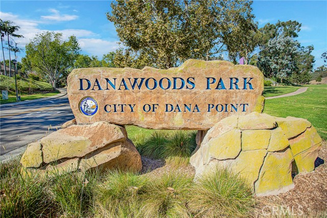 25112 Danabirch, Dana Point CA: https://media.crmls.org/medias/38b57e11-1f6a-488a-a37e-946c115f1313.jpg