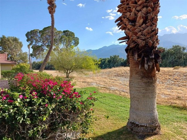 Detail Gallery Image 7 of 29 For 2679 N Whitewater Club Dr, Palm Springs,  CA 92262 - 3 Beds | 2 Baths