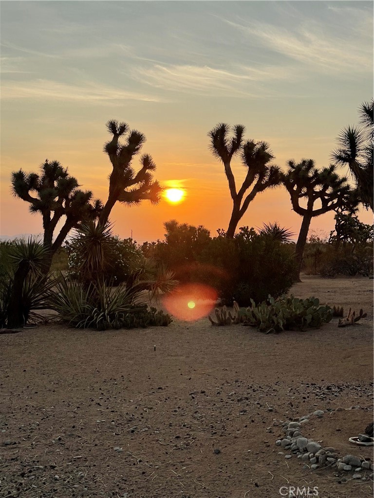 38D135E5 A935 462C B9Ed Edc6B8Dcbd0C 59019 Pueblo Trail, Yucca Valley, Ca 92284 &Lt;Span Style='BackgroundColor:transparent;Padding:0Px;'&Gt; &Lt;Small&Gt; &Lt;I&Gt; &Lt;/I&Gt; &Lt;/Small&Gt;&Lt;/Span&Gt;