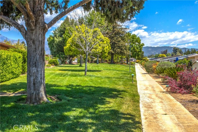 Detail Gallery Image 18 of 18 For 34350 Cedar Ave, Yucaipa,  CA 92399 - 2 Beds | 1 Baths