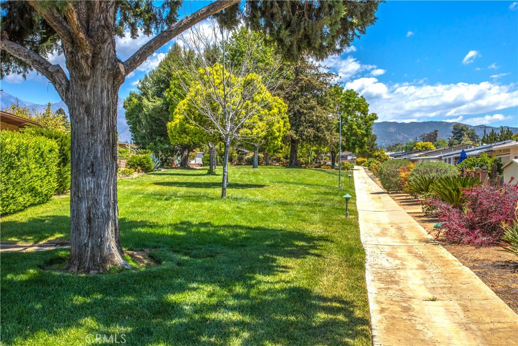 MLS #IG25241647 image #14