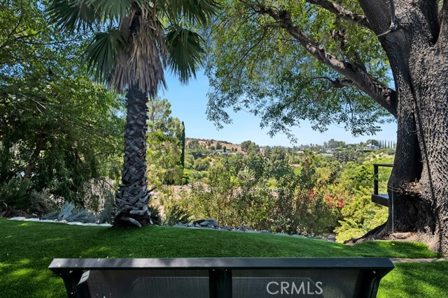 17072 Oak View Drive, Encino CA: https://media.crmls.org/medias/38de7a35-f4d1-46f8-86fc-fffcb3756db0.jpg