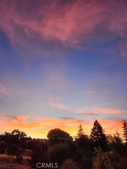 2035 Calle Pattito, Templeton CA: https://media.crmls.org/medias/38debbc3-5fe7-404c-901b-0bebc9b61cda.jpg