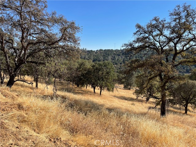 Detail Gallery Image 18 of 33 For 7607 White Oak Ln, Browns Valley,  CA 95918 - – Beds | – Baths
