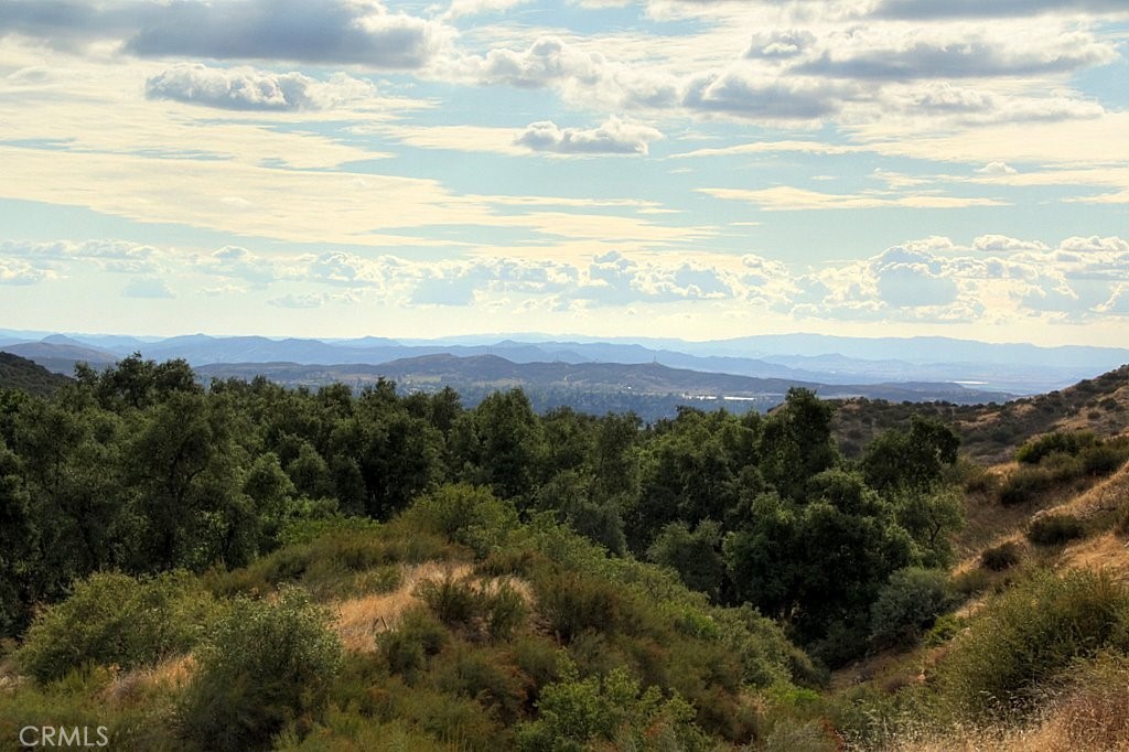 MLS #IG25034144 img 57