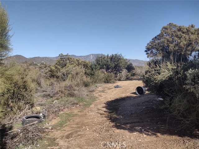 37400 Tripp Flat Road, Anza, California 92539, ,Land,For Sale,37400 Tripp Flat Road,CRSW23021079