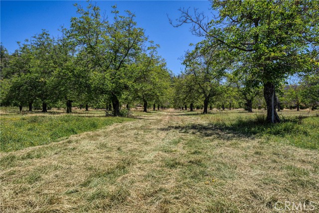 Detail Gallery Image 3 of 31 For 1286 Pitney Ln, Upper Lake,  CA 95485 - – Beds | – Baths