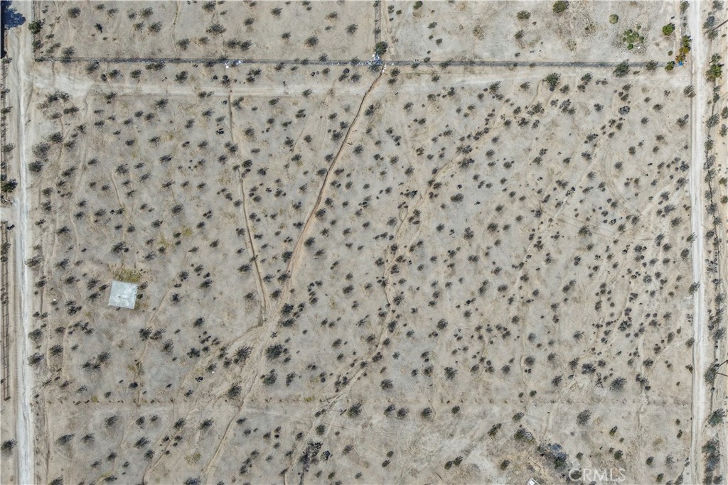 MLS #JT25246885 image #15