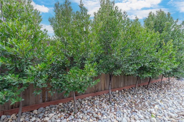 Detail Gallery Image 30 of 37 For 354 Silver Lake, Chico,  CA 95973 - 3 Beds | 2 Baths