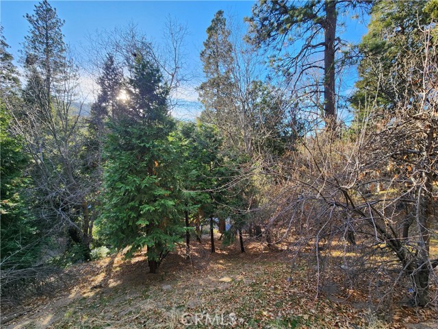 0 Basel Drive, Crestline CA: https://media.crmls.org/medias/38f8c0ef-75a0-488e-ac49-c7af5250126f.jpg