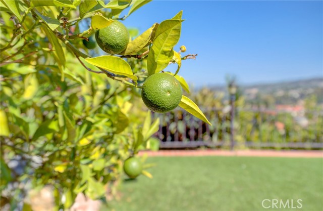 Detail Gallery Image 33 of 41 For 29 Silver Spring Dr, Rolling Hills Estates,  CA 90274 - 4 Beds | 2 Baths