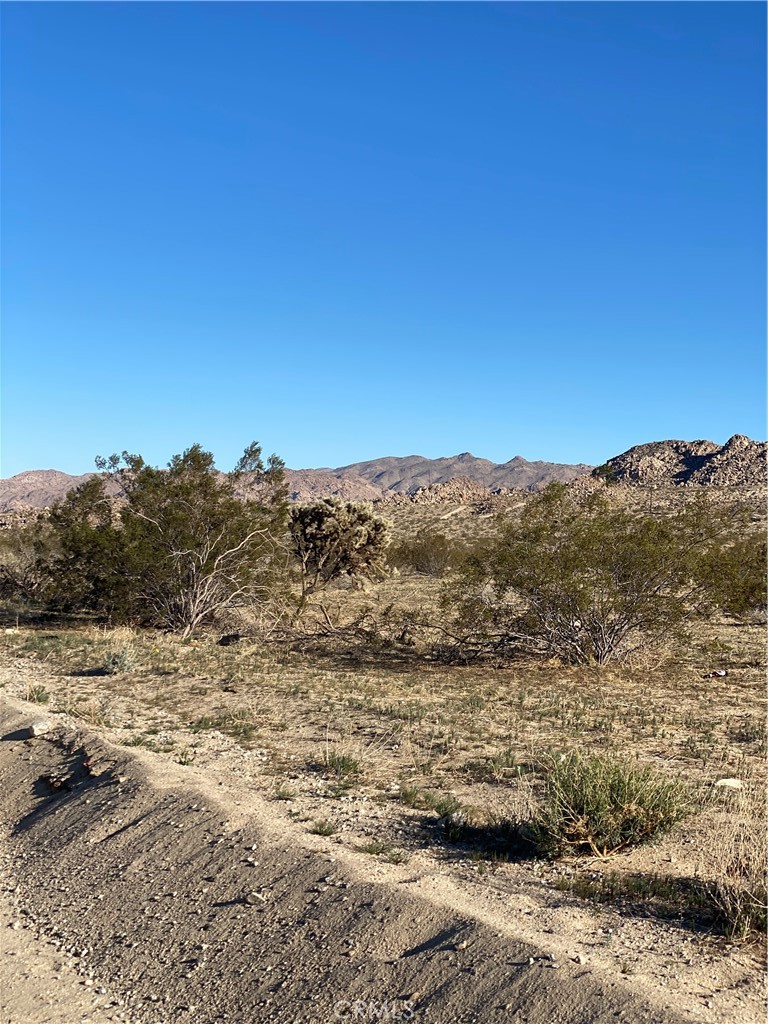 0 29 Palms Hwy, Joshua Tree, CA 92252