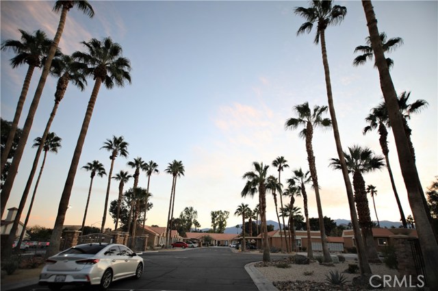Image 15 for 40975 Sandy Gale LN #C