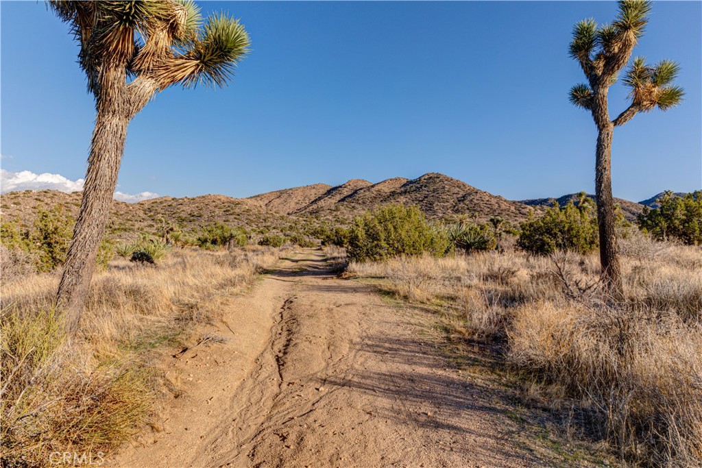 MLS #JT25229239 image #17