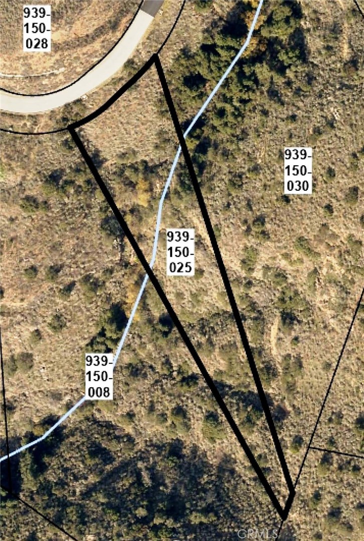 MLS #SW25229548 image #12