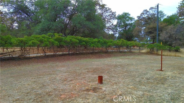 Detail Gallery Image 3 of 48 For 5264 Davis Rd, Midpines,  CA 95345 - 3 Beds | 3 Baths